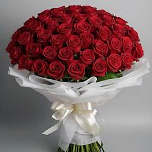 Букет 101 Красная роза Блэк Мэджик в Неболчах