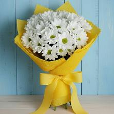 Букет цветов из:  Хризантемы в Неболчах