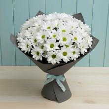 Букет цветов из:  Хризантемы #REPLACE_PRED# Неболчах