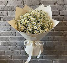 Букет цветов из:  Ромашки в Неболчах