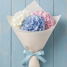 Букет цветов из:  Гортензия #REPLACE_PRED# Неболчах