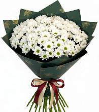 Букет цветов из:  Хризантемы #REPLACE_PRED# Неболчах