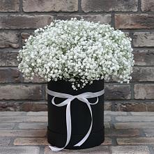 Цветочная композиция из Гипсофила в шляпной коробке в Неболчах