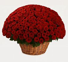 Премиум букет из: Розы в Неболчах