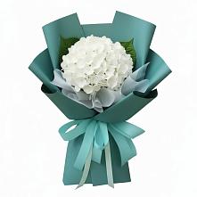 Букет цветов из:  Гортензия в Неболчах